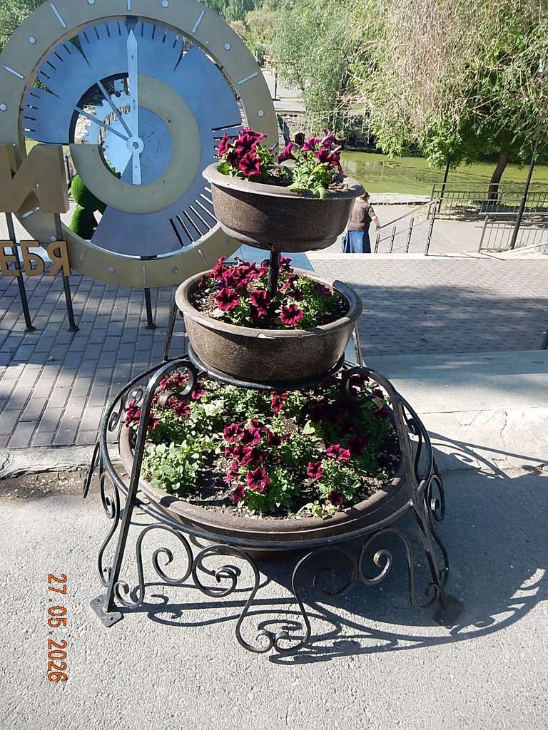 DSCN3408.JPG