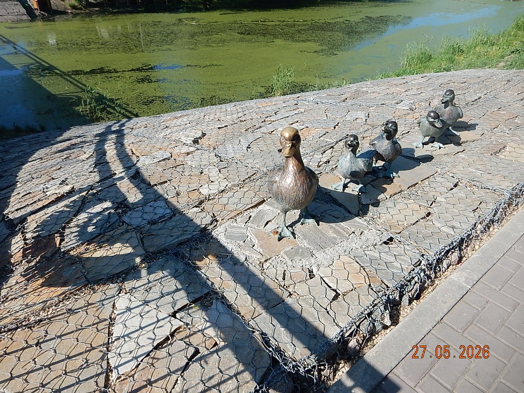 DSCN3410.JPG