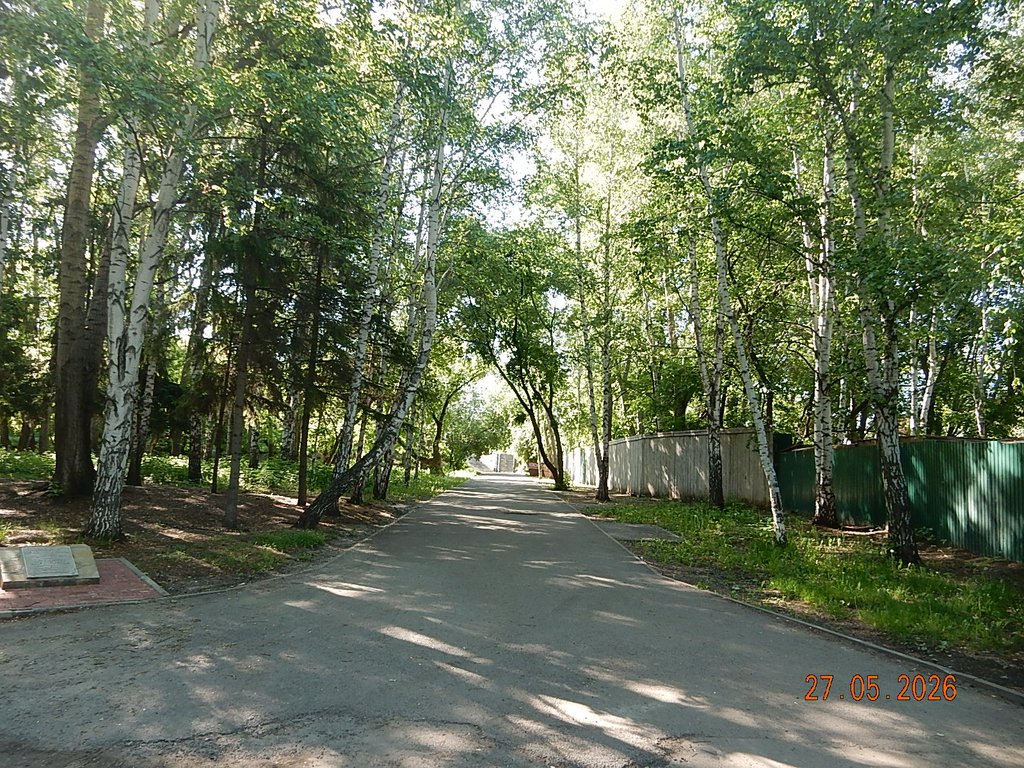 DSCN3416.JPG