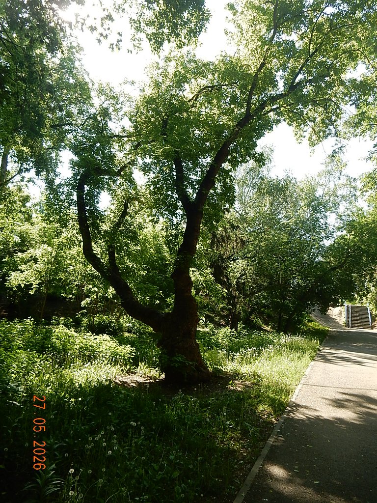 DSCN3418.JPG