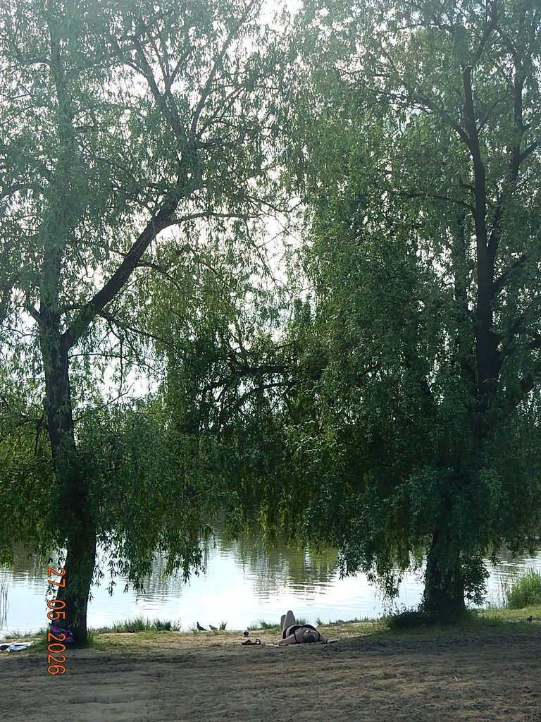 DSCN3423.JPG