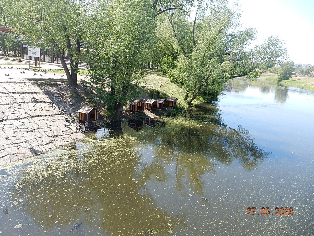 DSCN3429.JPG