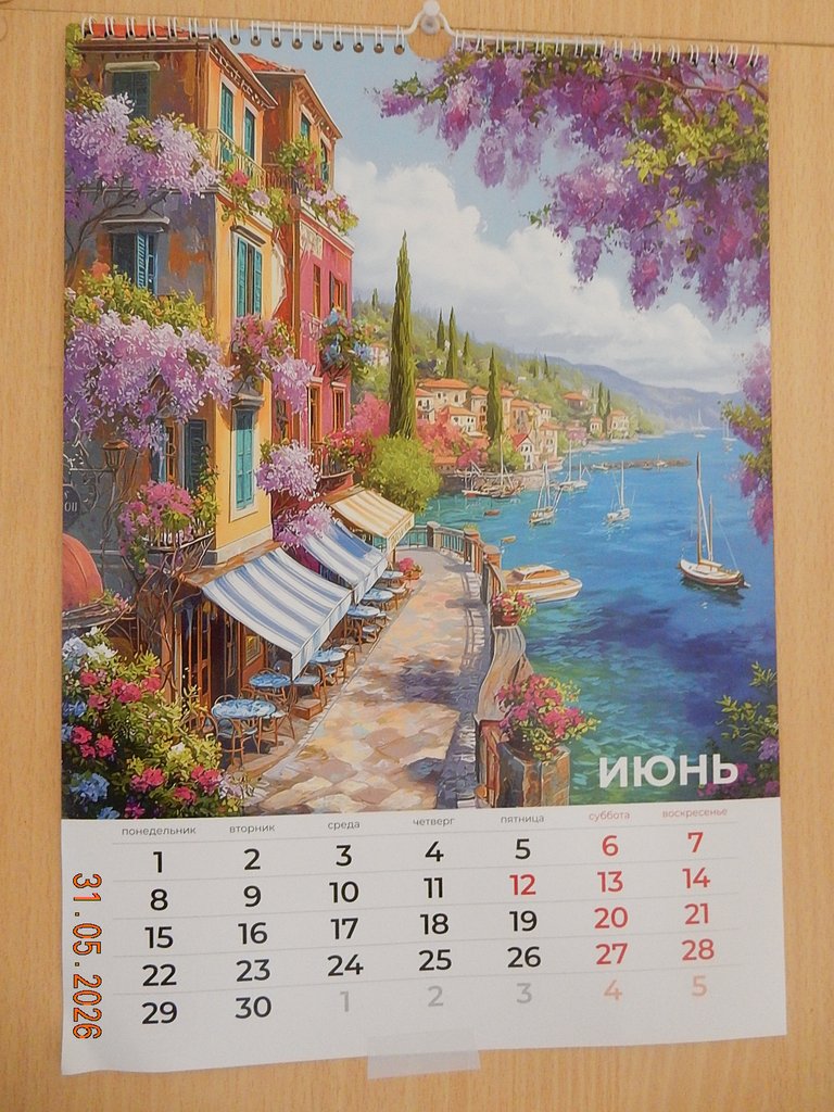 DSCN3436.JPG