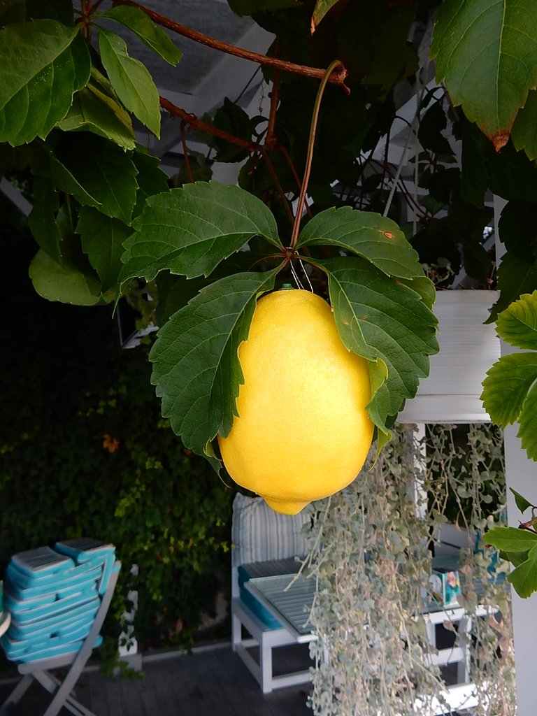 DSCN7439.JPG