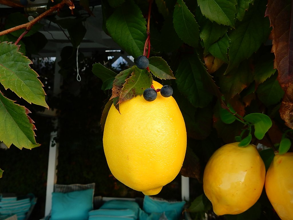 DSCN7440.JPG