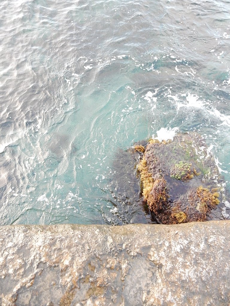DSCN7448.JPG