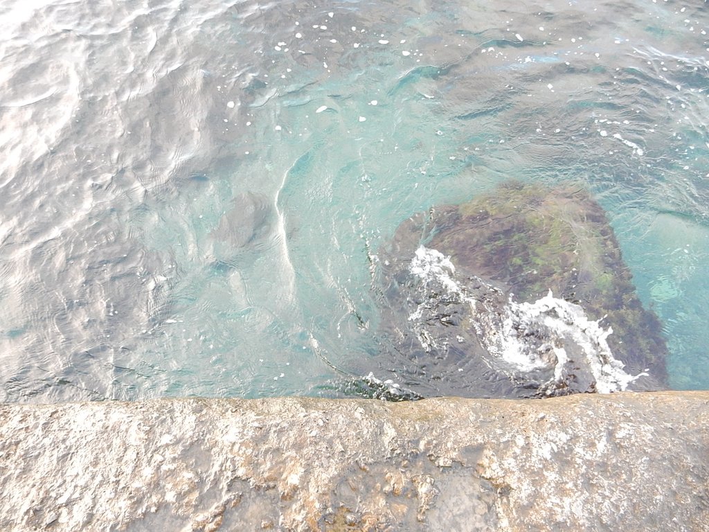 DSCN7449.JPG