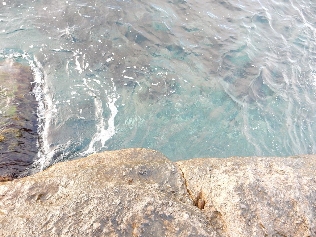 DSCN7450.JPG