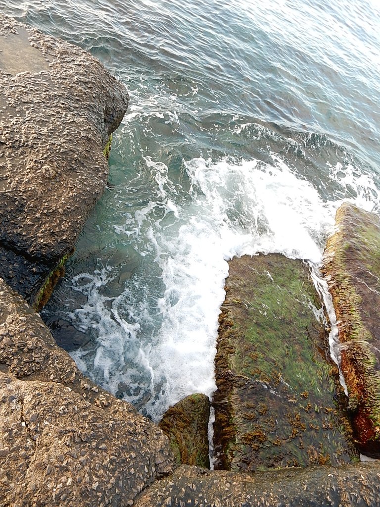 DSCN7451.JPG