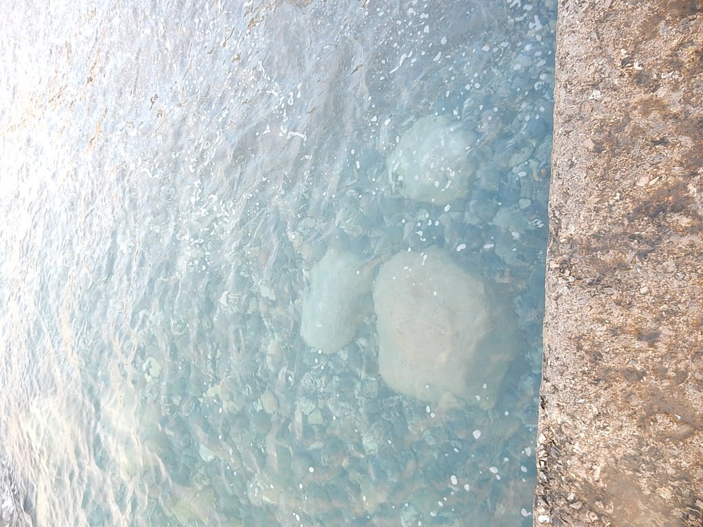 DSCN7452.JPG