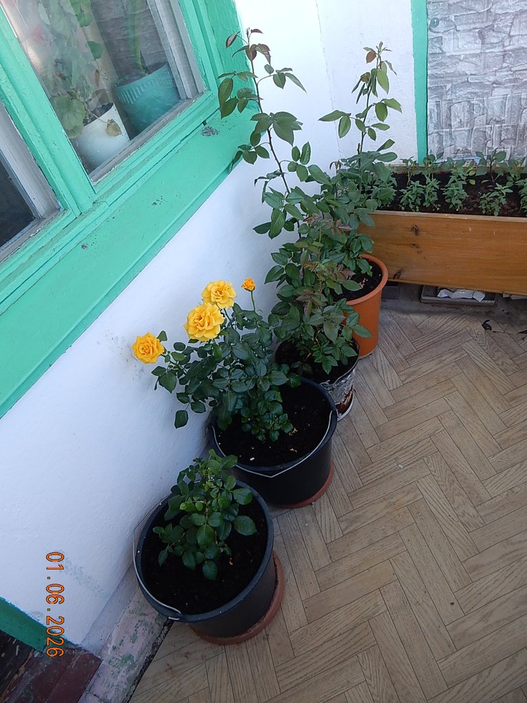 DSCN3447.JPG