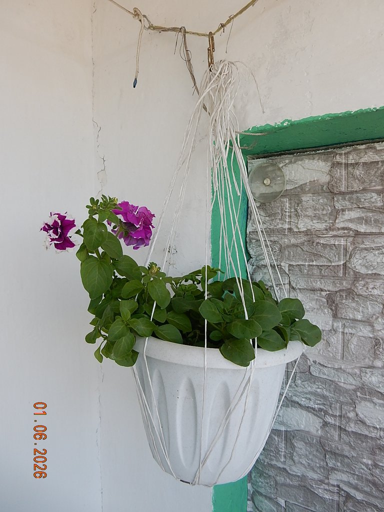 DSCN3449.JPG