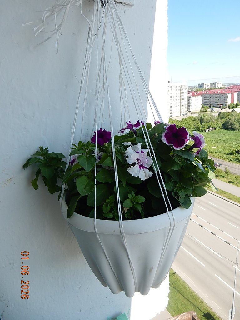 DSCN3450.JPG