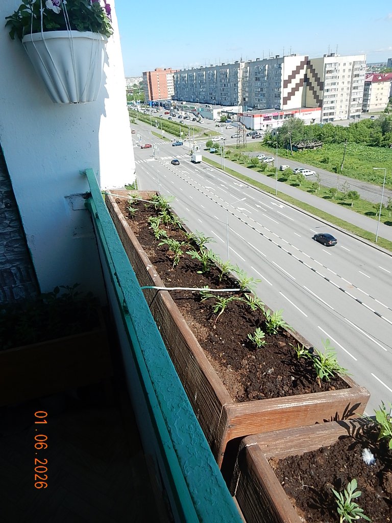 DSCN3451.JPG