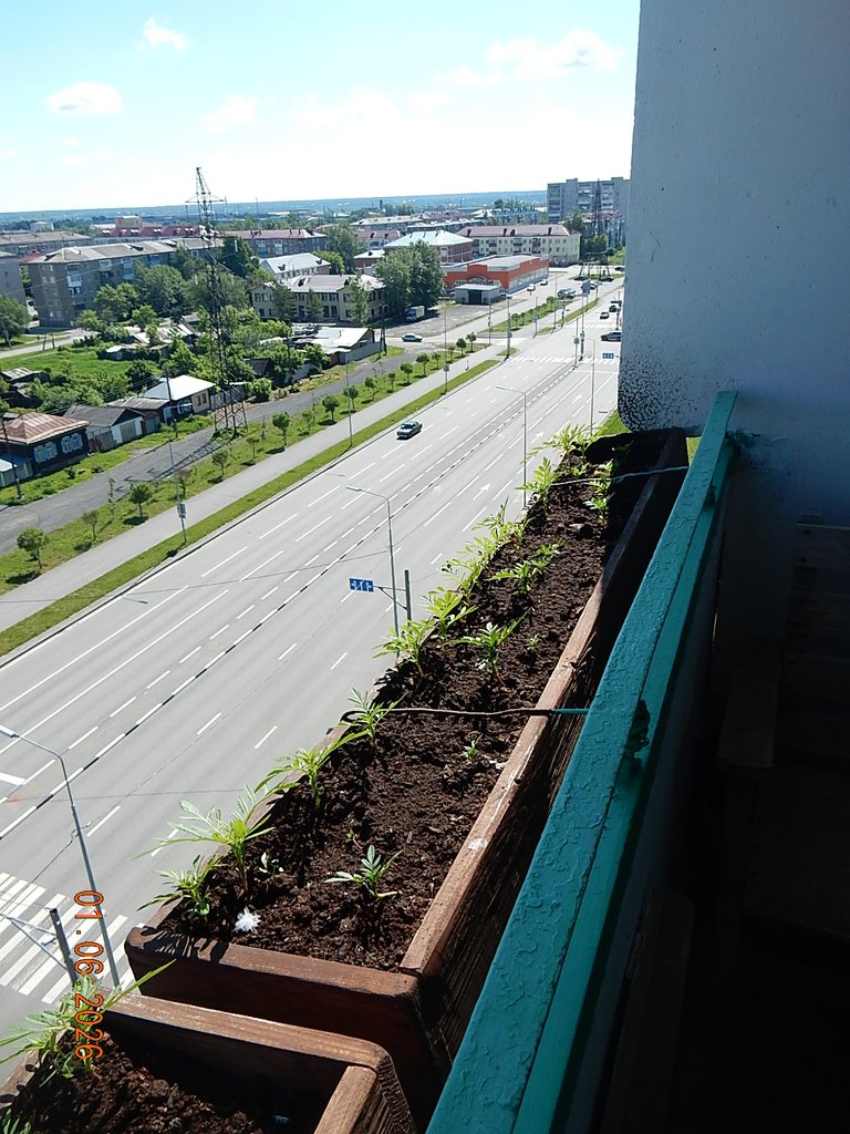 DSCN3452.JPG