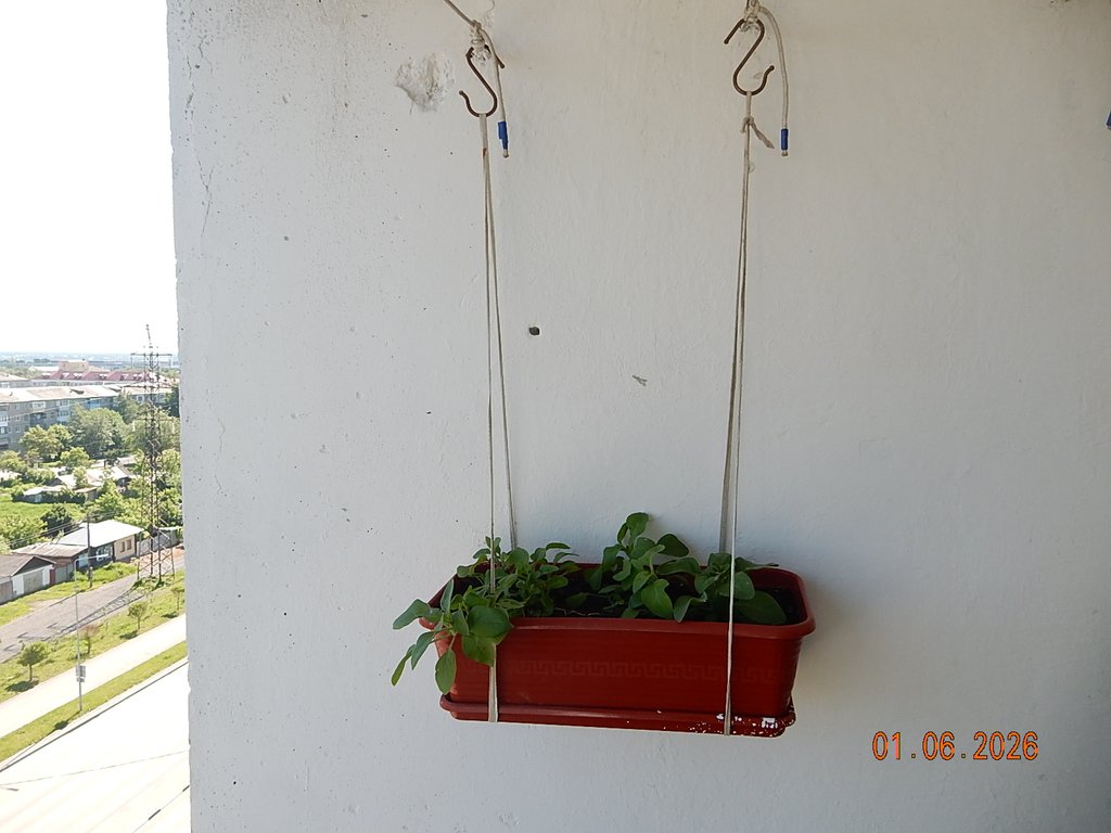 DSCN3453.JPG