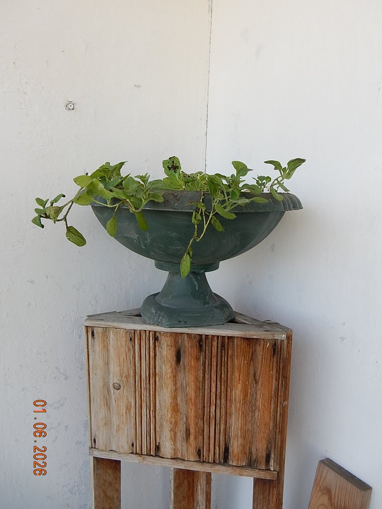 DSCN3454.JPG