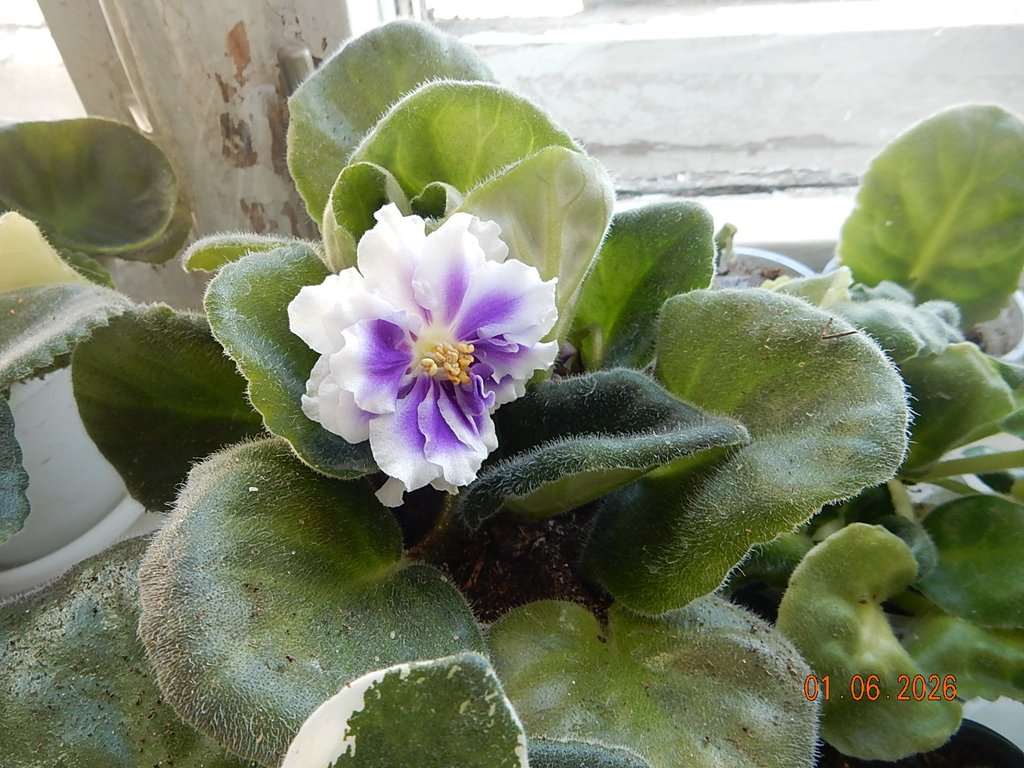 DSCN3457.JPG