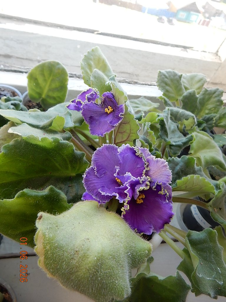 DSCN3458.JPG