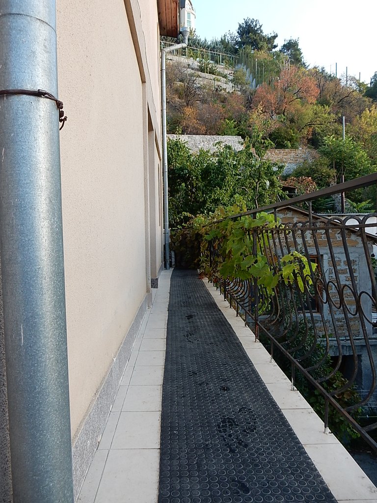 DSCN7465.JPG