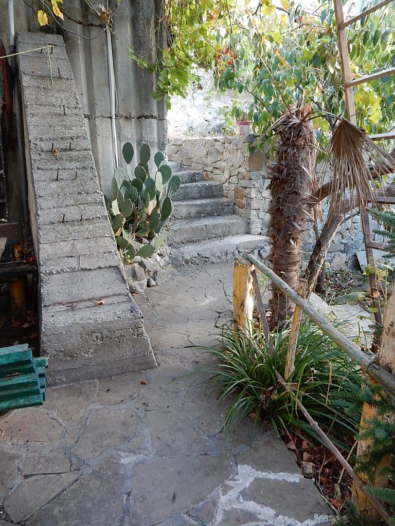 DSCN7466.JPG