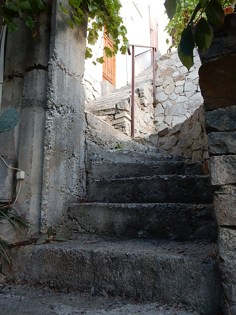 DSCN7467.JPG