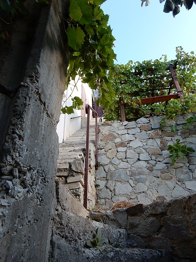 DSCN7468.JPG