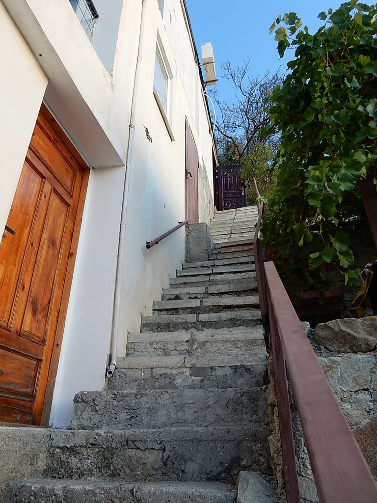 DSCN7469.JPG