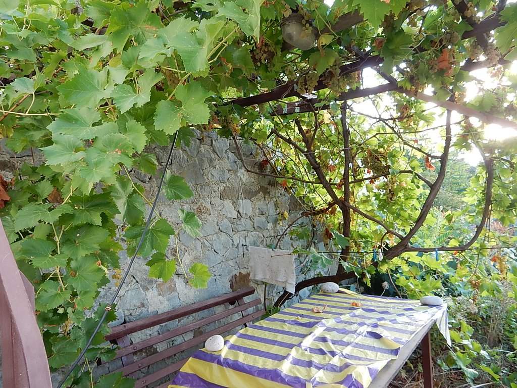 DSCN7471.JPG