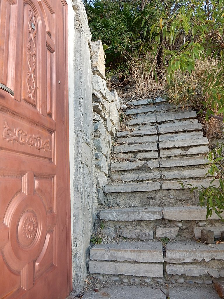 DSCN7475.JPG