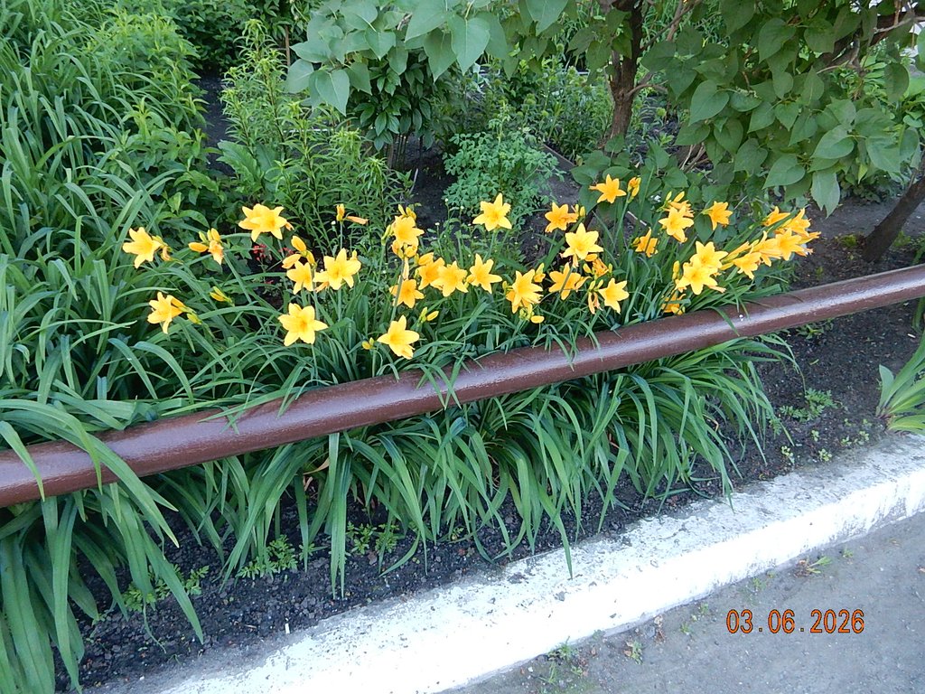 DSCN3461.JPG