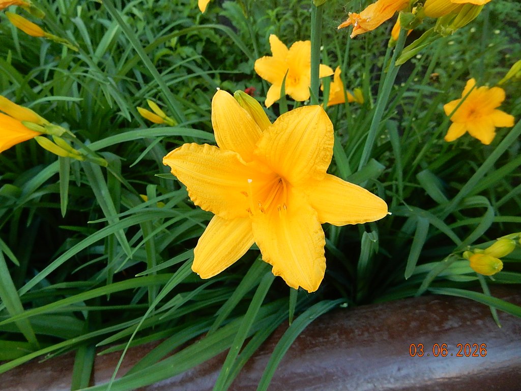 DSCN3462.JPG