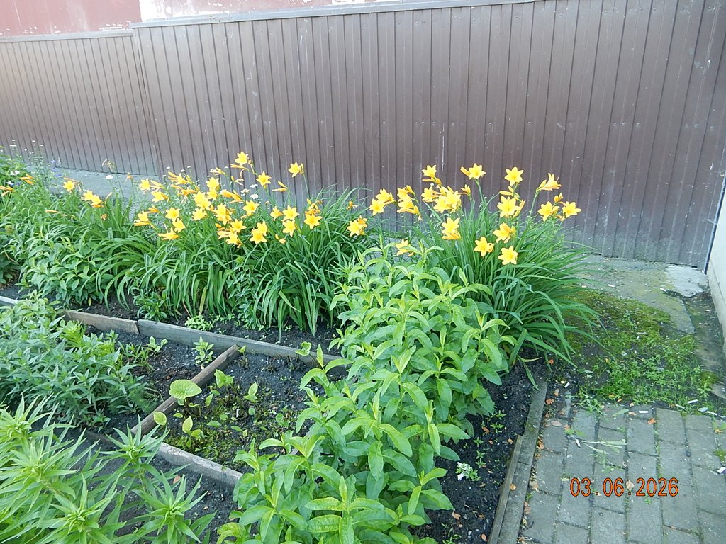 DSCN3463.JPG