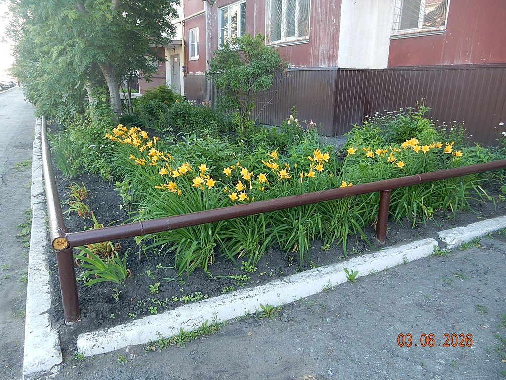 DSCN3464.JPG