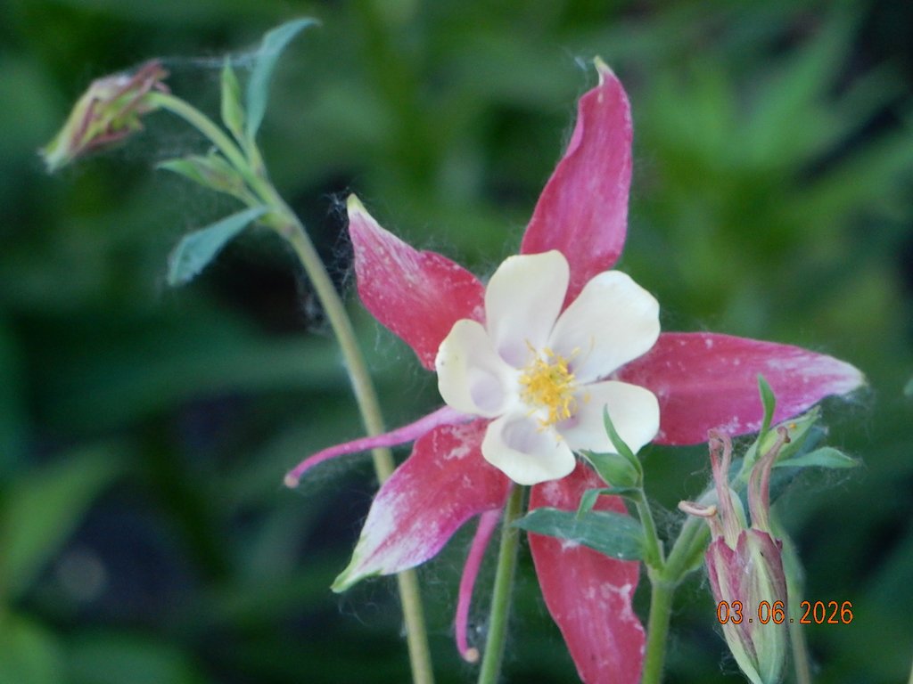 DSCN3467.JPG