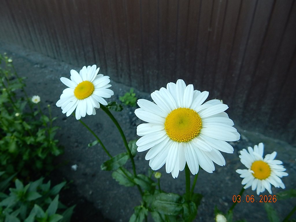 DSCN3468.JPG