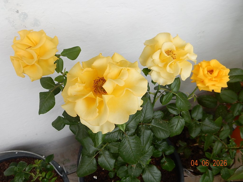 DSCN3469.JPG