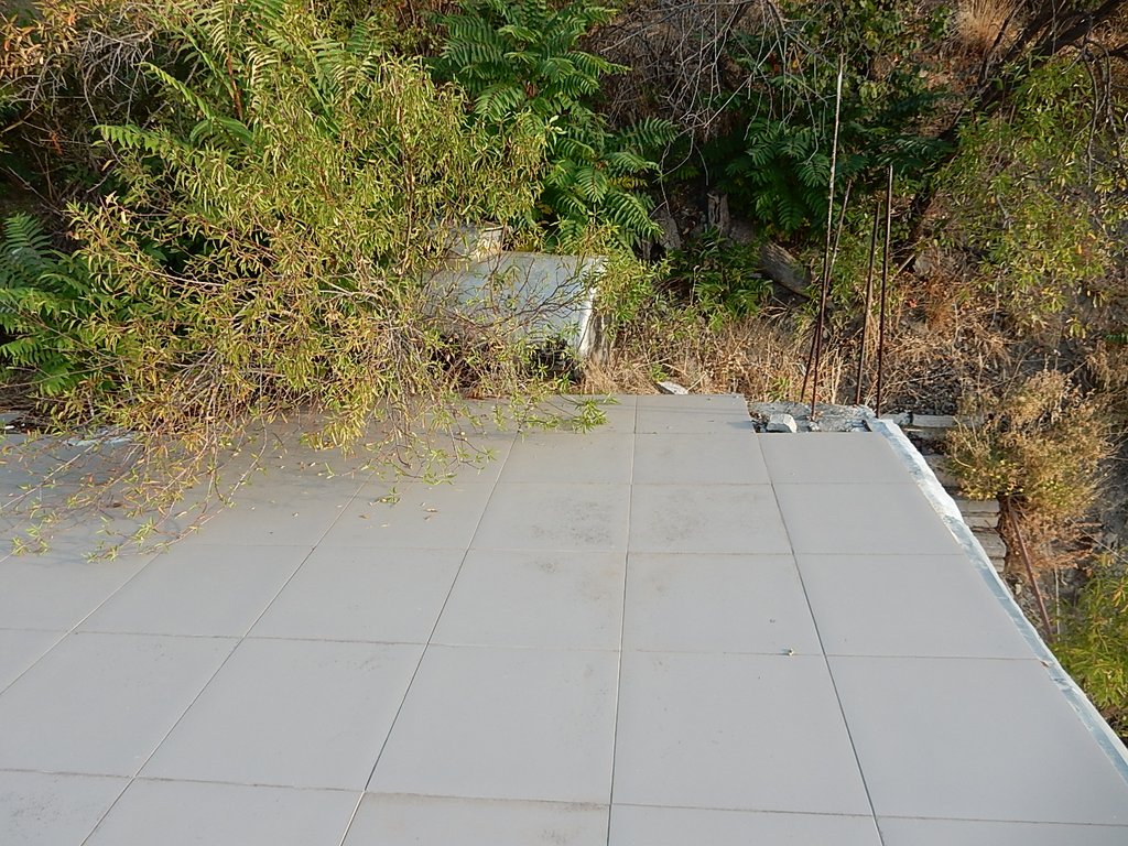 DSCN7479.JPG