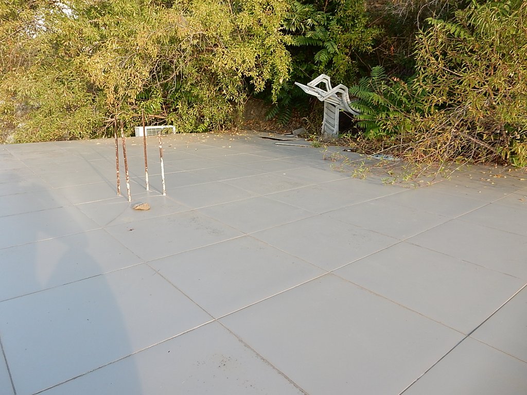 DSCN7480.JPG