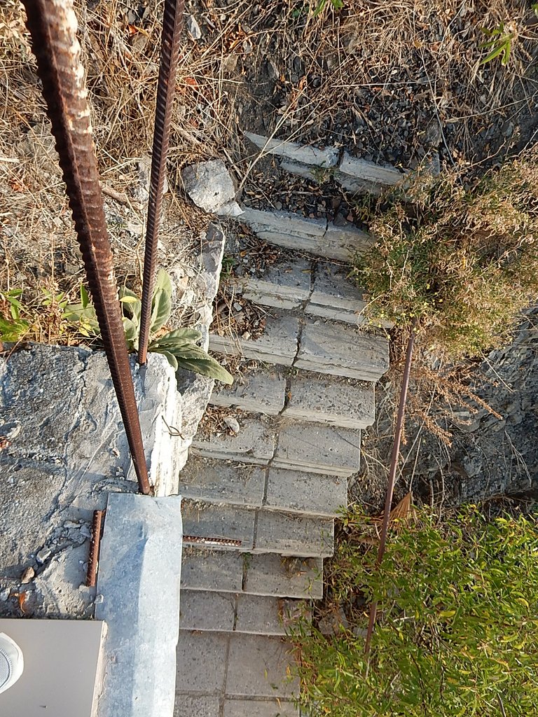 DSCN7485.JPG