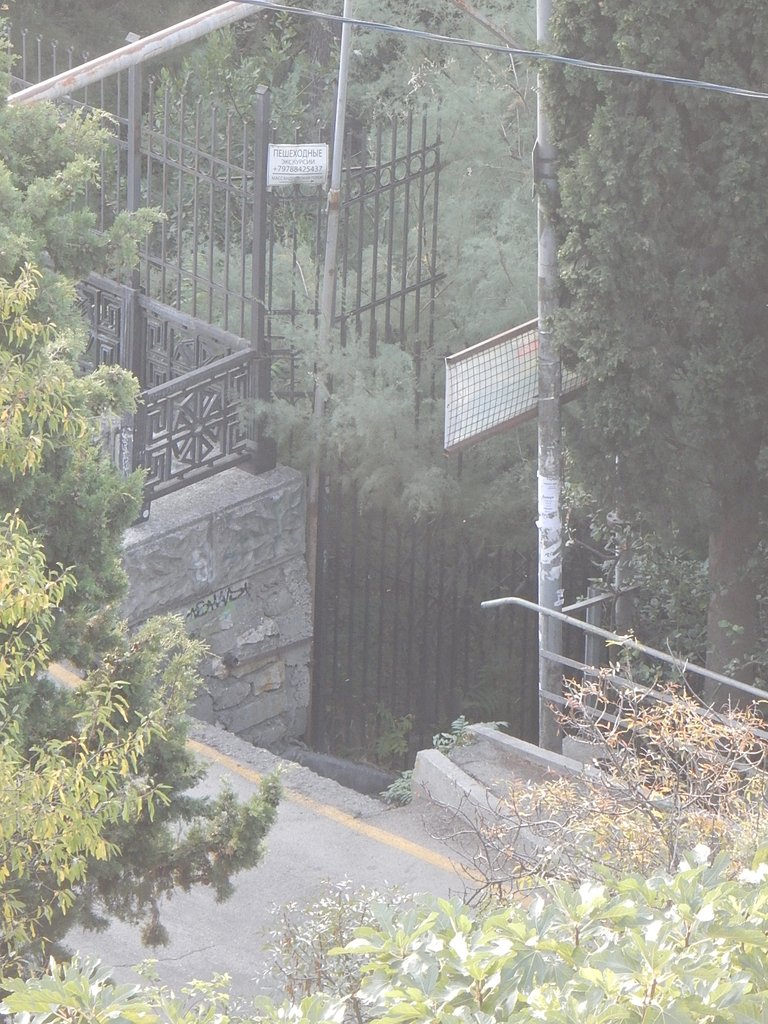 DSCN7488.JPG