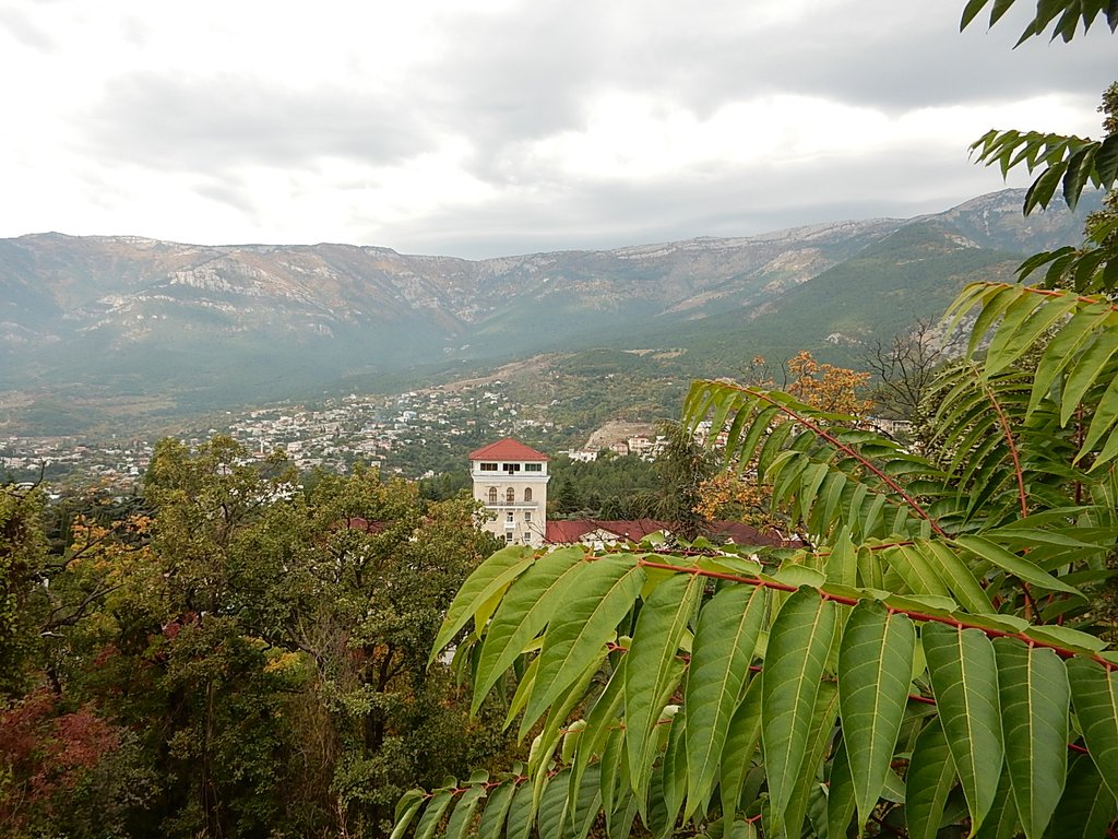 DSCN7536.JPG